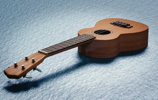 Ukelele les bij House of Music Katwijk
