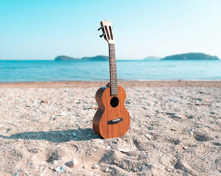 Ukelele les bij House of Music